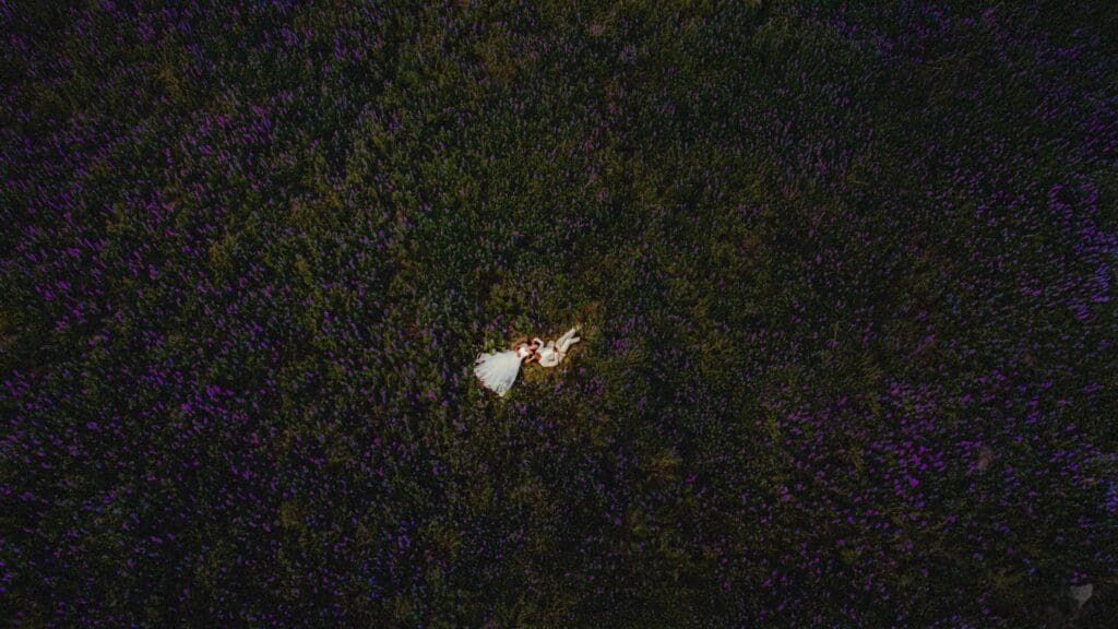 Aerial view of a couple lying together in a purple lupine field during an intimate Iceland elopement.